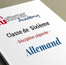 6e - Allemand inclus 3 séances de visio / trimestre